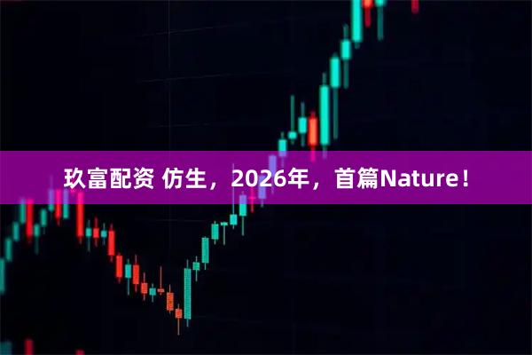 玖富配资 仿生，2026年，首篇Nature！