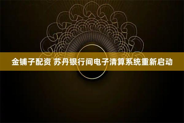 金铺子配资 苏丹银行间电子清算系统重新启动