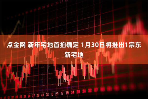 点金网 新年宅地首拍确定 1月30日将推出1宗东新宅地